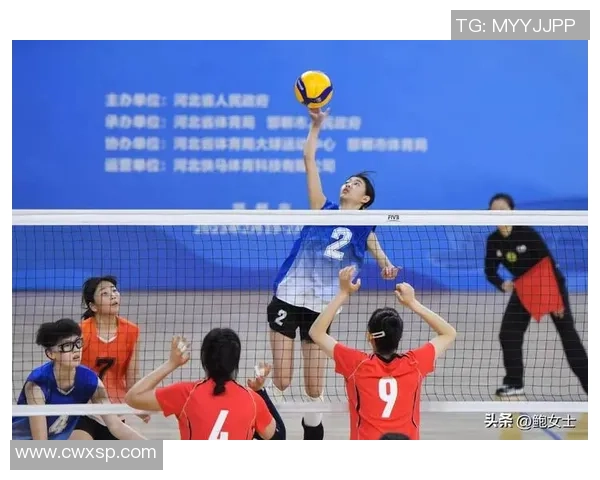 上海排球队的节奏与战术探讨：聚焦排球运动的魅力与挑战